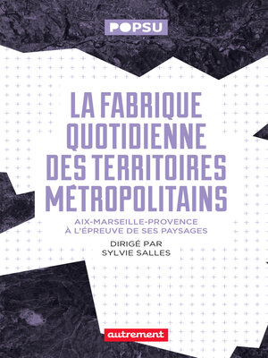 cover image of La fabrique quotidienne des territoires métropolitains